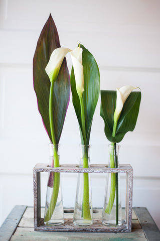 White Calla Lilies Arrangement