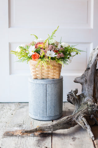 Gerbera Sympathy Arrangement