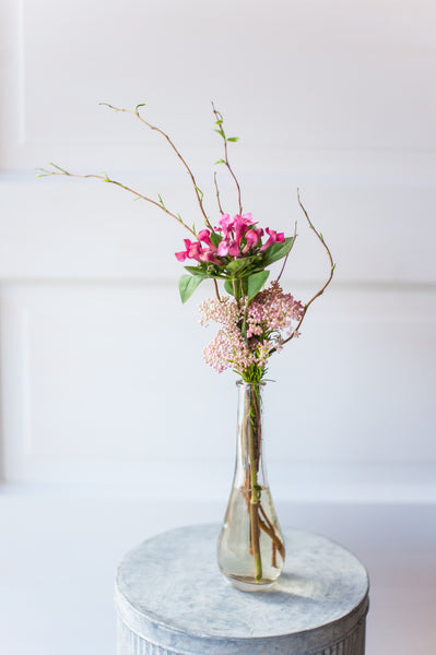 Borvardia & Rice Flower Arrangement