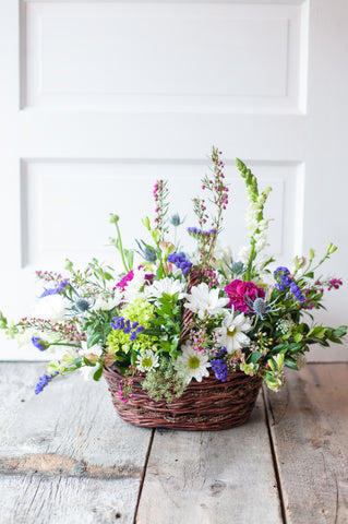 Snaps, Daisy and Hydrangeas Arrangement